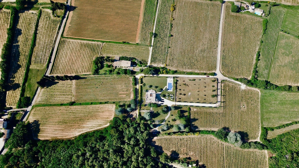 La Vallée du Rhône, quels lieux visiter sur la route touristique ? - TERRA 6840