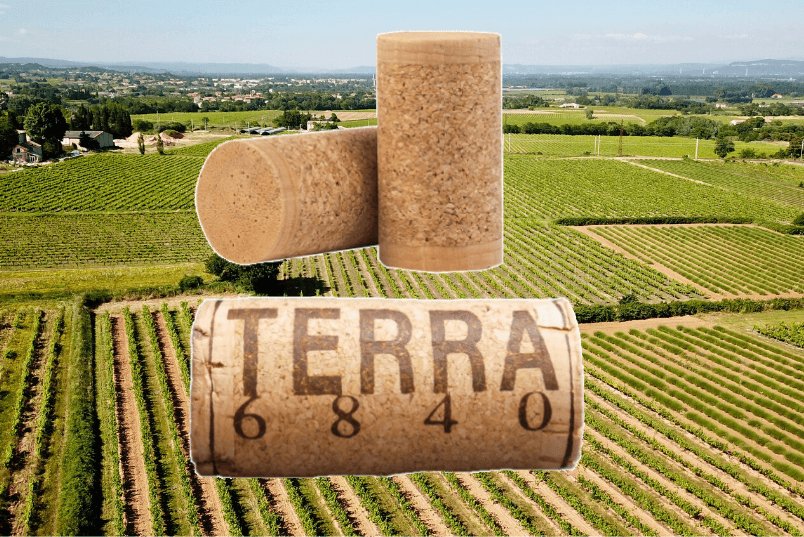 Conception de nos Bouchons - TERRA 6840