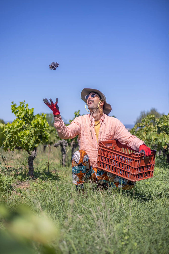 Un rendez-vous à ne pas manquer dans la vallée du Rhône - TERRA 6840