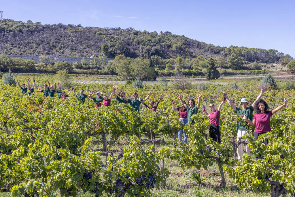 Entre oenotourisme et festivités, le domaine Terra6840 surprends pour la 3ème année consécutive - TERRA 6840