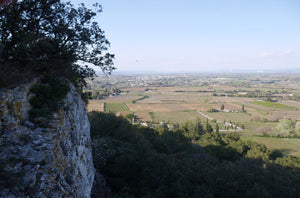 Saint-Alexandre domaine Terra 6840