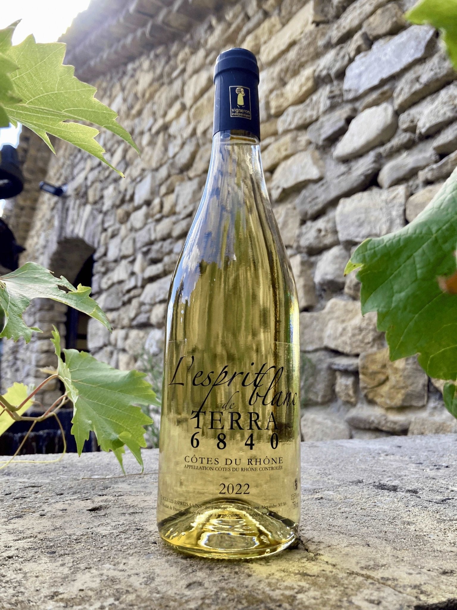 Esprit Blanc vin blanc Terra 6840